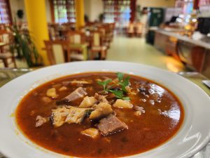 509356826_122125676390841250_2825795842056007150_n