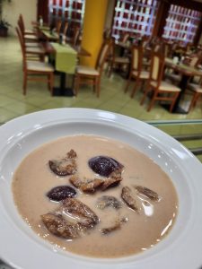 543367355_122144252654841250_9090633742360877219_n