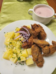 545826691_122145078608841250_6937260843455557941_n